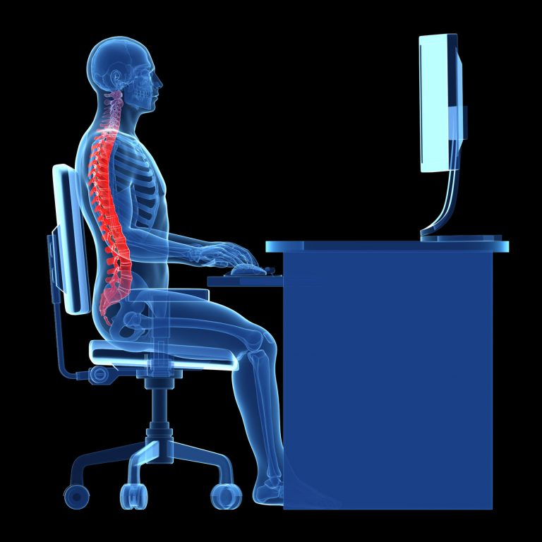 xray of person sitting at the computer from the side