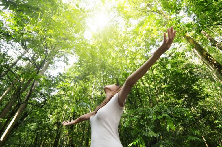 A woman with arms out wide in the forest looking up at the sun
